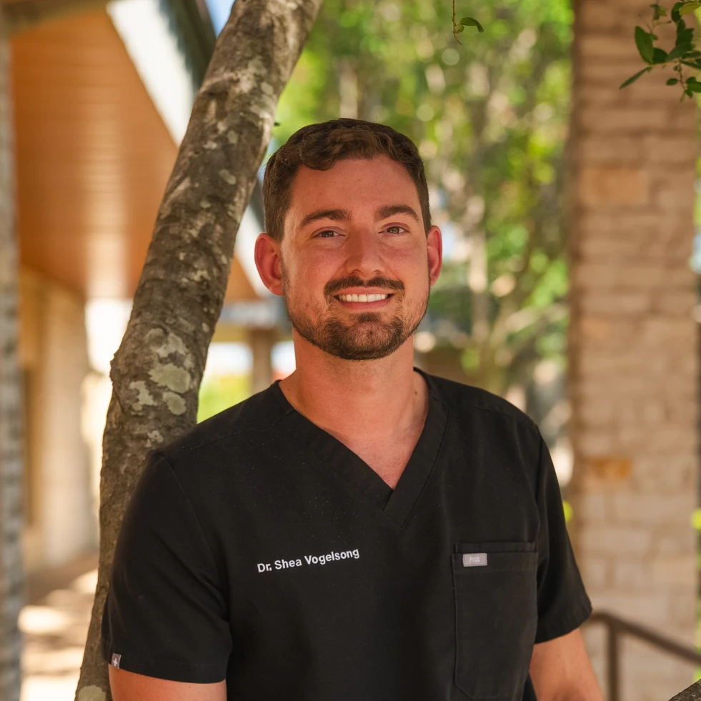 Dr. Shea Vogelsong, DDS - General Dentist in Austin, TX at South Austin Dental Associates